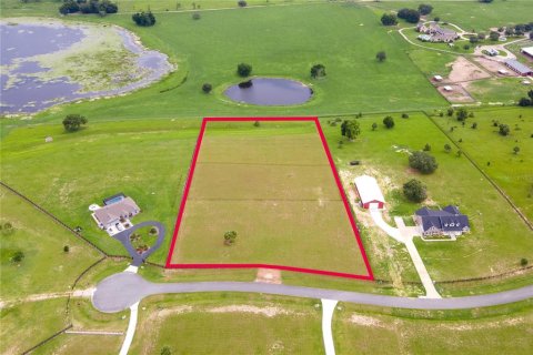 Terreno en venta en Lady Lake, Florida № 1827147 - foto 3