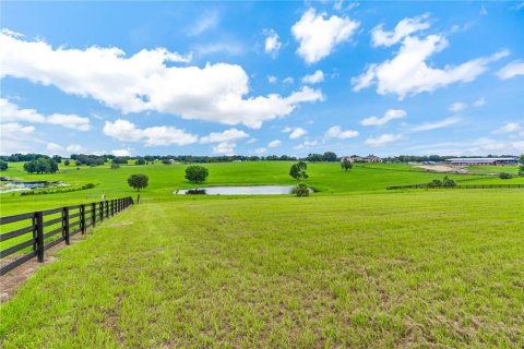 Terreno en venta en Lady Lake, Florida № 1827147 - foto 8