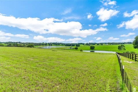 Terreno en venta en Lady Lake, Florida № 1827147 - foto 4