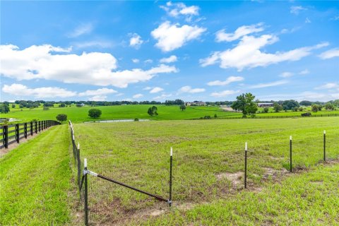 Terreno en venta en Lady Lake, Florida № 1827147 - foto 7