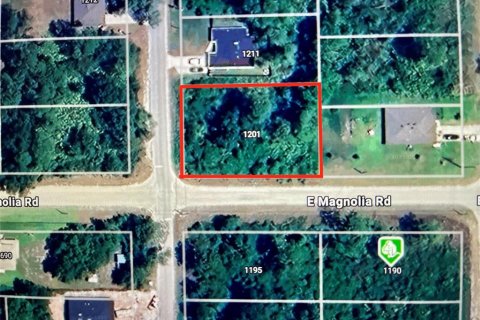 Terreno en venta en DeLand, Florida № 1721359 - foto 1