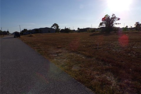 Land in Cape Coral, Florida № 2162644 - photo 4