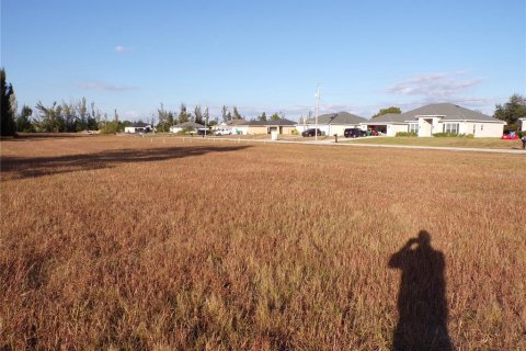 Land in Cape Coral, Florida № 2162644 - photo 13