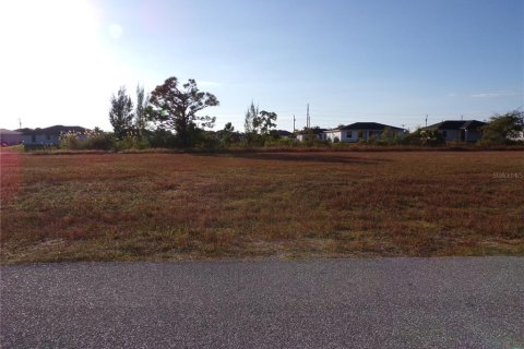 Land in Cape Coral, Florida № 2162644