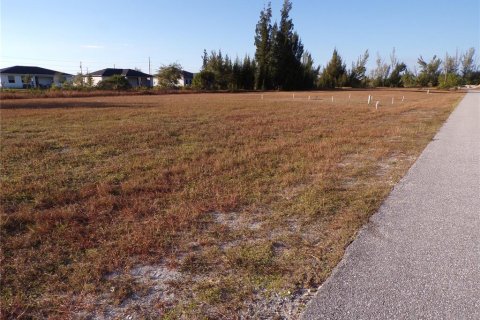 Land in Cape Coral, Florida № 2162644 - photo 7