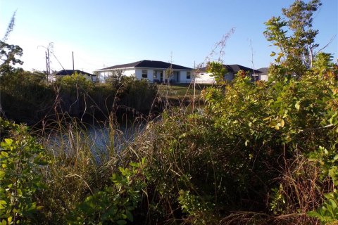 Land in Cape Coral, Florida № 2162644 - photo 10