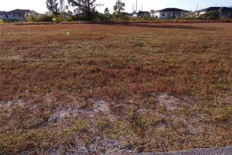 Land in Cape Coral, Florida № 2162644 - photo 5