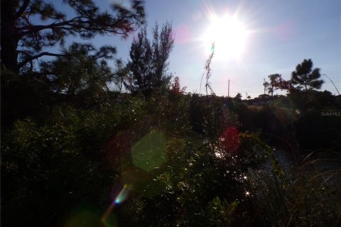 Land in Cape Coral, Florida № 2162644 - photo 11