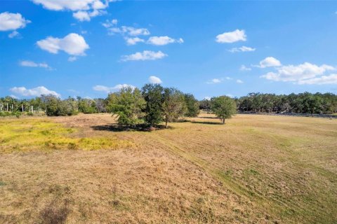 Land in Terra Ceia, Florida № 1582471 - photo 9