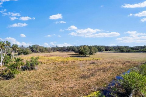 Land in Terra Ceia, Florida № 1582471 - photo 8