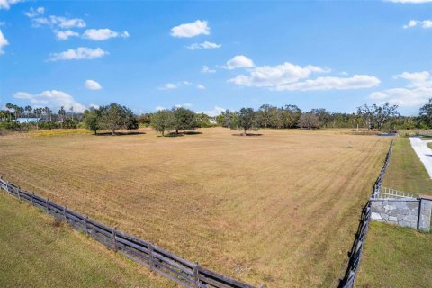 Land in Terra Ceia, Florida № 1582471 - photo 10