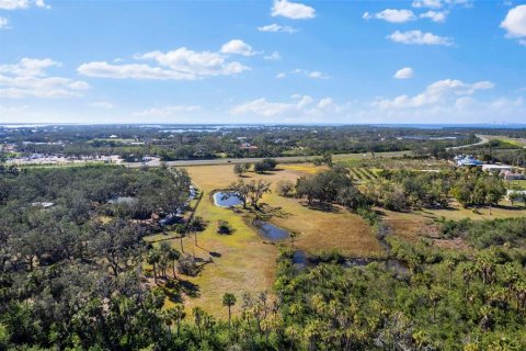 Land in Terra Ceia, Florida № 1582471 - photo 5