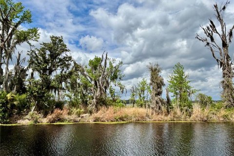 Terreno en venta en Hawthorne, Florida № 1591211 - foto 3