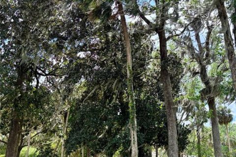 Terreno en venta en Hawthorne, Florida № 1591211 - foto 30