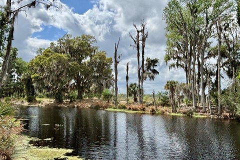 Terreno en venta en Hawthorne, Florida № 1591211 - foto 6