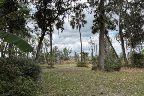 Terreno en venta en Hawthorne, Florida № 1591211 - foto 28