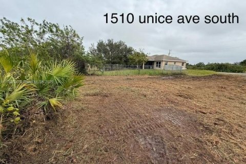Land in Lehigh Acres, Florida № 2158374