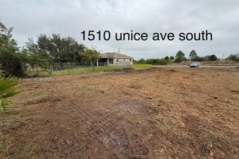 Land in Lehigh Acres, Florida № 2158374 - photo 2