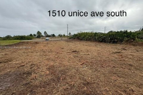 Land in Lehigh Acres, Florida № 2158374 - photo 4