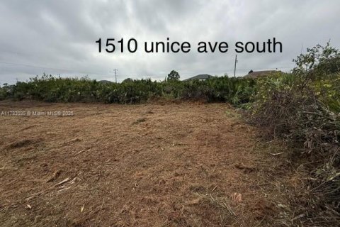 Land in Lehigh Acres, Florida № 2158374 - photo 3