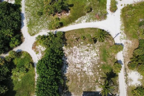 Villa ou maison à vendre à Placida, Floride: 3 chambres, 111.48 m2 № 2387464 - photo 6