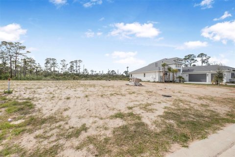 Land in Flagler Beach, Florida № 1337779 - photo 25