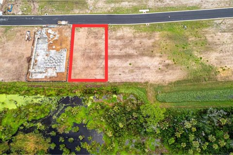 Land in Flagler Beach, Florida № 1337779 - photo 6