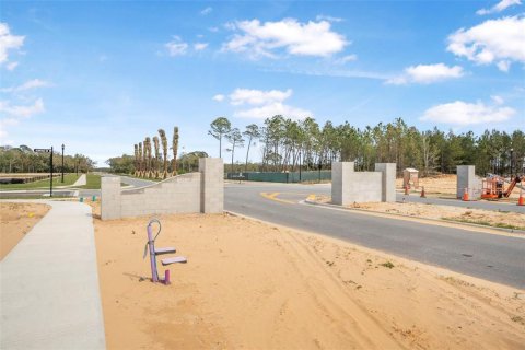 Land in Flagler Beach, Florida № 1337779 - photo 28