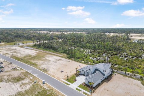 Land in Flagler Beach, Florida № 1337779 - photo 18