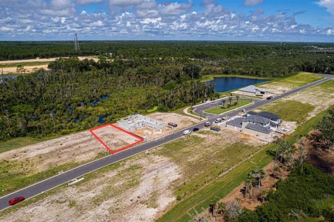 Land in Flagler Beach, Florida № 1337779 - photo 10