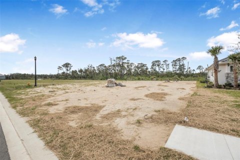 Land in Flagler Beach, Florida № 1337779 - photo 23