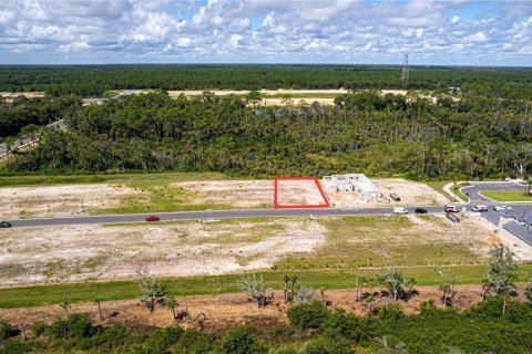 Land in Flagler Beach, Florida № 1337779 - photo 11