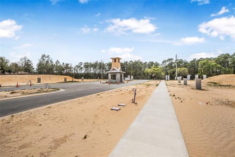 Land in Flagler Beach, Florida № 1337779 - photo 26