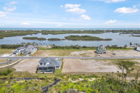 Land in Flagler Beach, Florida № 1337779 - photo 21
