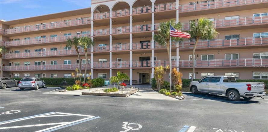 Condo in Saint Petersburg, Florida, 1 bedroom  № 2215853