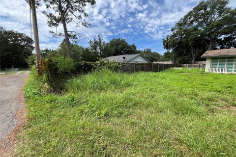 Land in Ocala, Florida № 1758168 - photo 8