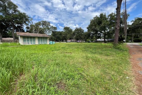 Land in Ocala, Florida № 1758168 - photo 9