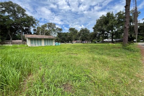 Land in Ocala, Florida № 1758168 - photo 10