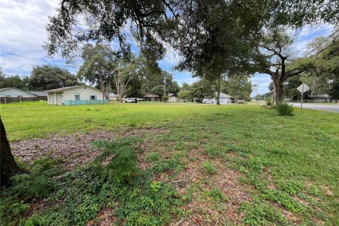 Land in Ocala, Florida № 1758168 - photo 4