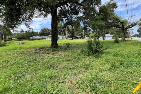 Land in Ocala, Florida № 1758168 - photo 6
