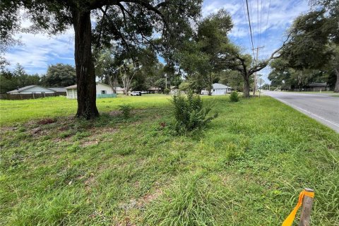 Land in Ocala, Florida № 1758168 - photo 5