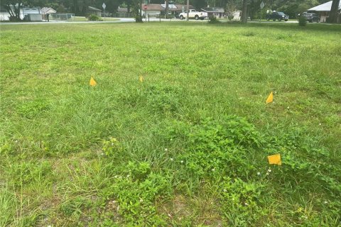 Land in Ocala, Florida № 1758168 - photo 12