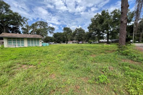 Land in Ocala, Florida № 1758168 - photo 7