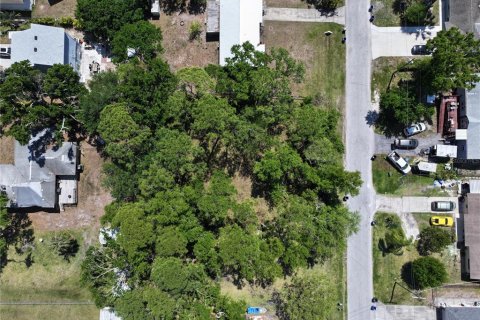 Land in Ruskin, Florida № 1603130 - photo 3