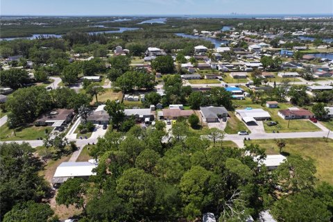 Land in Ruskin, Florida № 1603130 - photo 5
