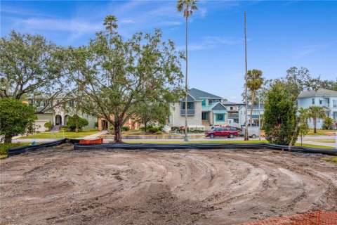 Land in Tampa, Florida № 1540150 - photo 15