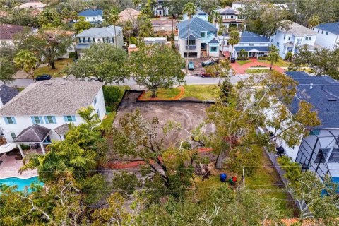 Land in Tampa, Florida № 1540150 - photo 2