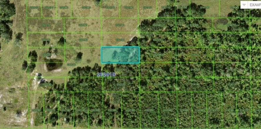Terrain à Winter Haven, Floride № 2235116