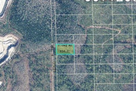 Land in Orlando, Florida № 2218794 - photo 2