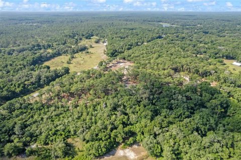 Terreno en venta en Eustis, Florida № 1624769 - foto 12